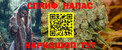 стаф Будённовск