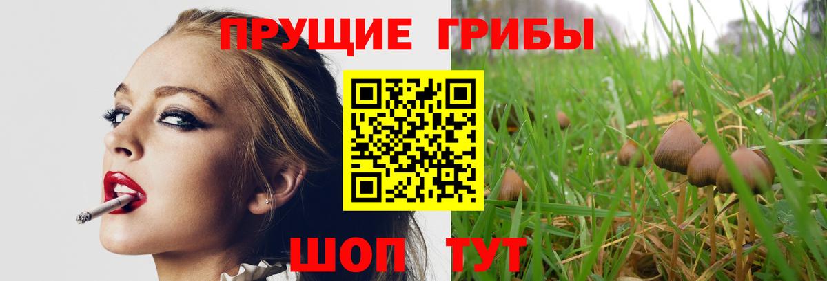 Псилоцибиновые грибы Cubensis  Вход с VPN  Менделеевск 
