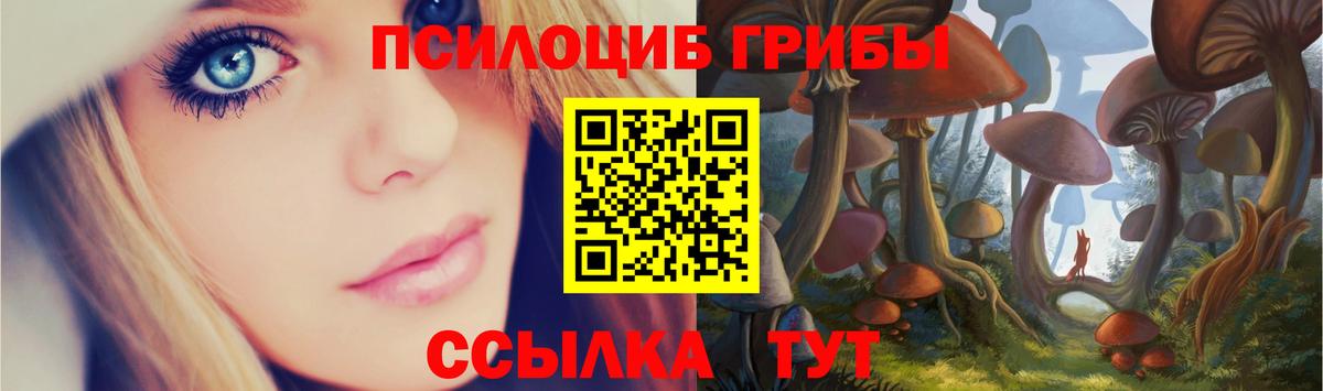 Псилоцибиновые грибы прущие грибы Менделеевск